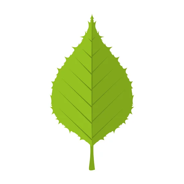 Blad natuurlijke plant blad — Stockvector