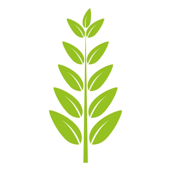 Levelek természetes növényi lap — Stock Vector