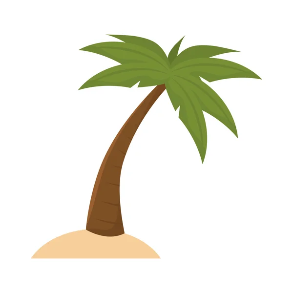 Palm tropical tree — Stock Vector