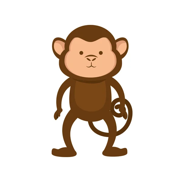 Singe animal dessin animé — Image vectorielle