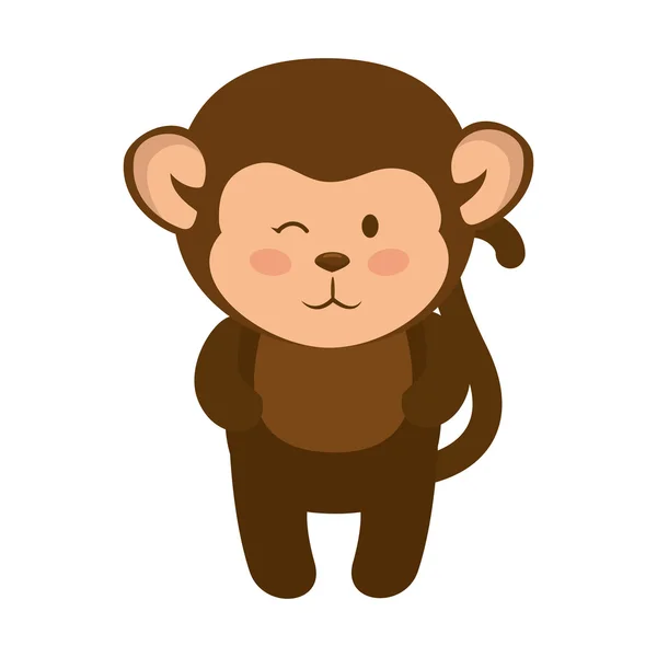 Desenho animado animal de macaco — Vetor de Stock