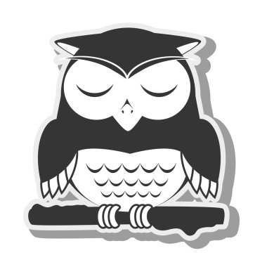 baykuş kuş hayvan tasarım