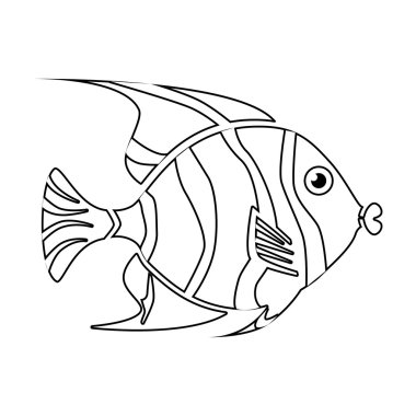 balık deniz yaban hayatı gıda simge izole