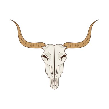simgeyi büyük boynuz boğa kafatası izole