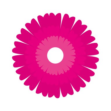 simge çiçek bahar yaprakları çiçek izole