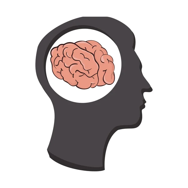 Silueta cerebro humano pensamiento idea aislada — Vector de stock