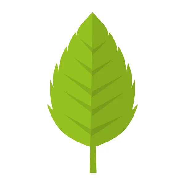 Yaprak doğal bitki sayfası — Stok Vektör