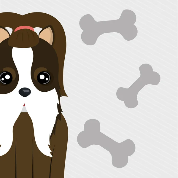 Perro mascota hueso icono — Vector de stock