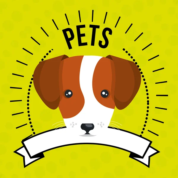 Dog pet mascot icon — Stock Vector