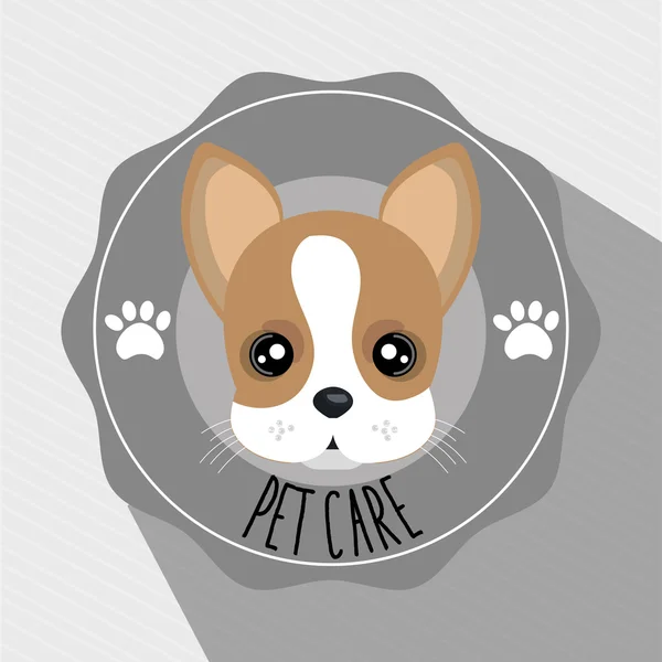 Perro mascota cuidado icono — Vector de stock