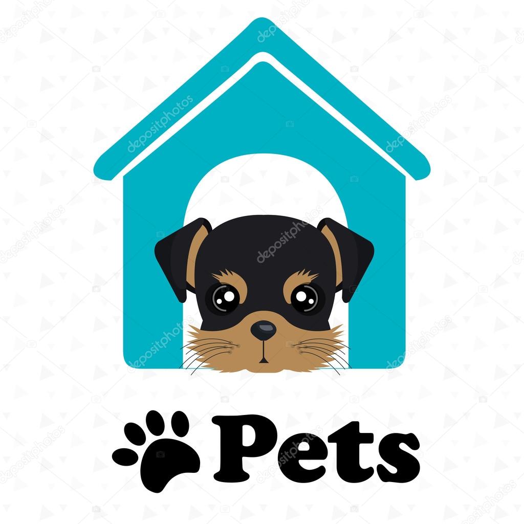 dog pets house icon