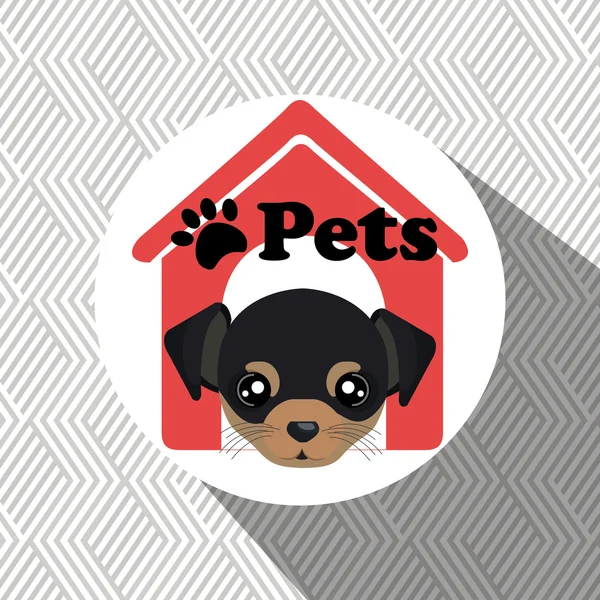 Dog pets house icon — Stock Vector