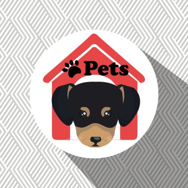 köpek evcil hayvan simgesi ev