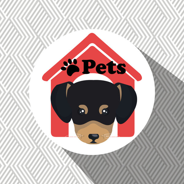 иконка дома для собак
