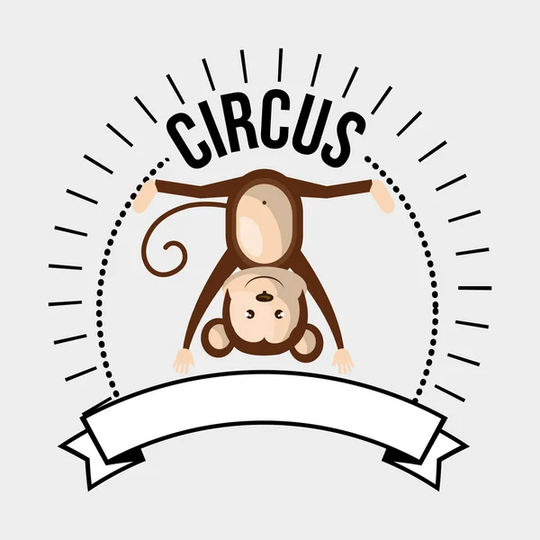 Monkey circus icon — Stock Vector