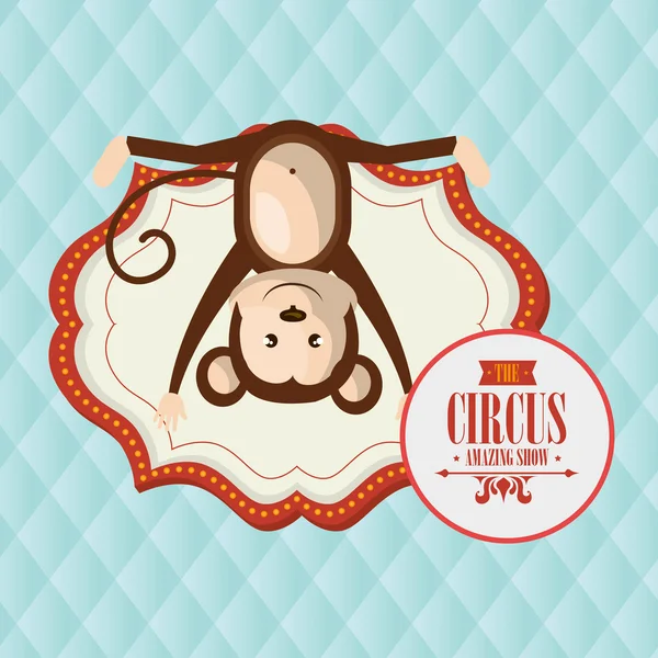 Monkey circus icon — Stock Vector