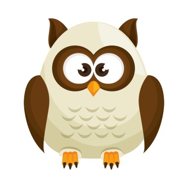 Baykuş kuş çizgi film