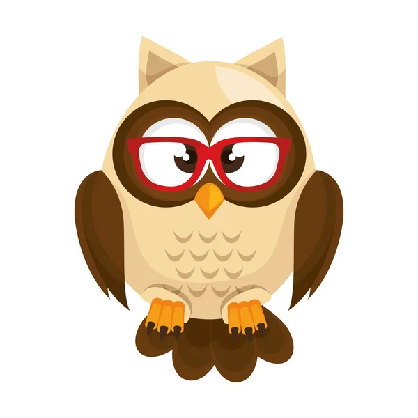 Owl bird cartoon — Stock Vector