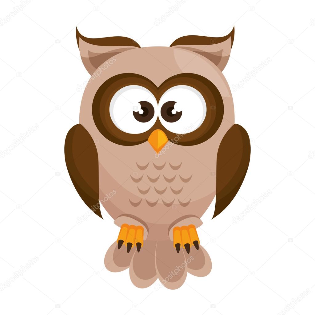 owl bird cartoon