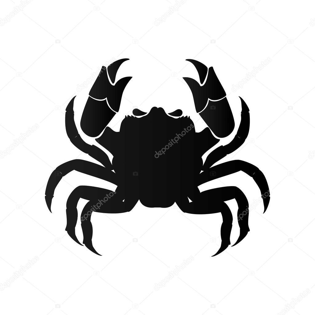 crab animal cancer zodiac