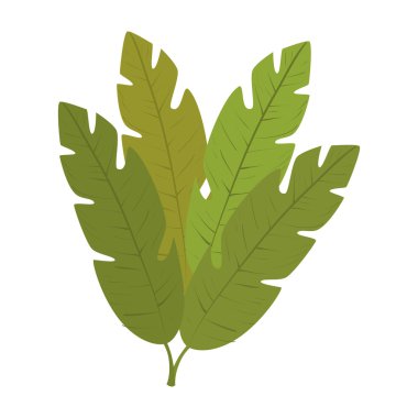 yeşil yaprakları bitki