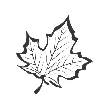 yaprak bitki doğal sac