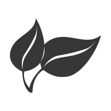 yaprakları bitki siluet