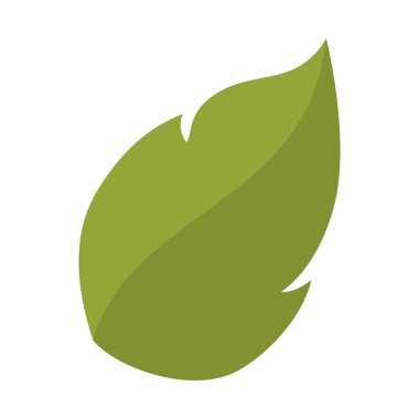 yaprak bitki doğal sac