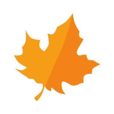 sonbahar kuru yaprağı