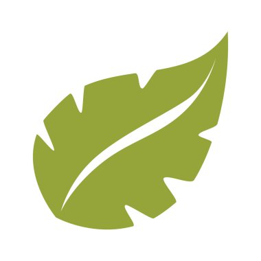 yaprak bitki doğal sac