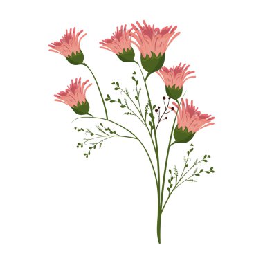 çiçek doğal çiçek