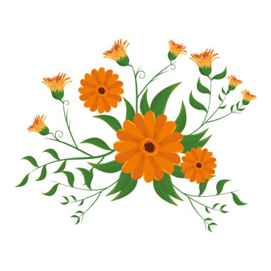 çiçek doğal çiçek