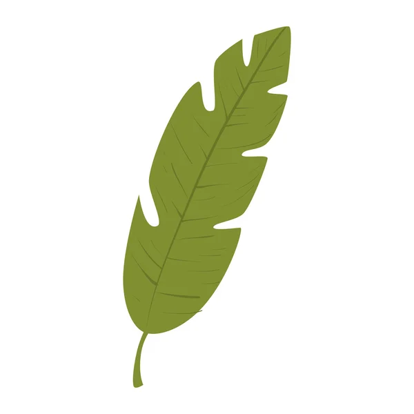 Blatt pflanzliche natürliche Blatt — Stockvektor