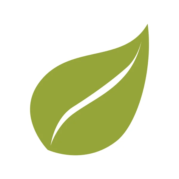 Blad plant natuurlijke blad — Stockvector