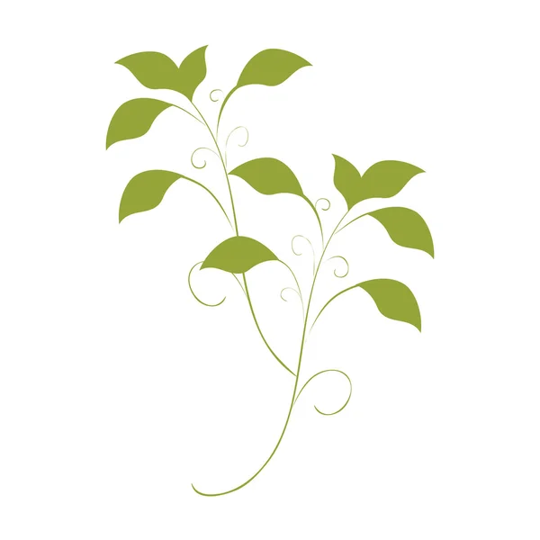 Planta de hojas verdes — Vector de stock