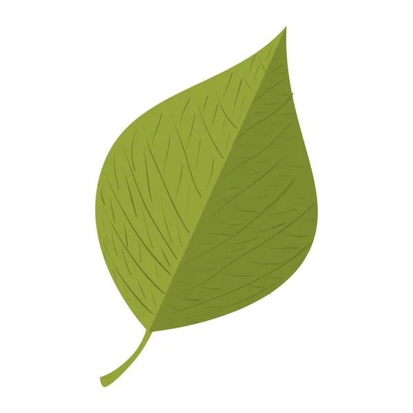 葉植物自然シート — ストックベクタ