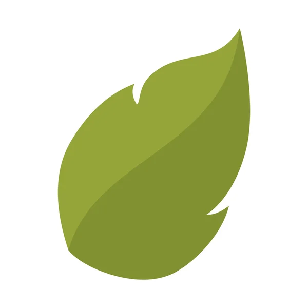 Feuille végétale feuille naturelle — Image vectorielle