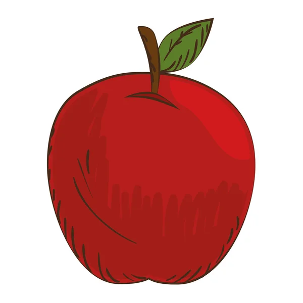 Levél az egész apple — Stock Vector