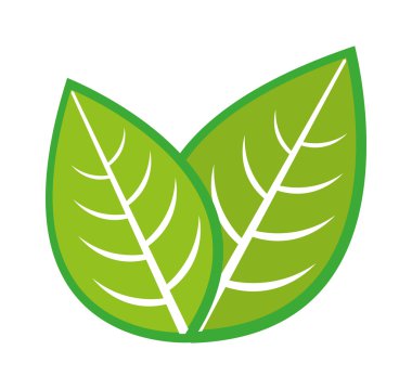 Yaprak bitkisi doğa izole simgesi