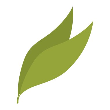 yeşil yaprakları bitki