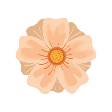 Güzel beyaz çiçek