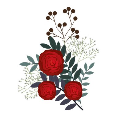 yeşil yaprakları ile kırmızı gül