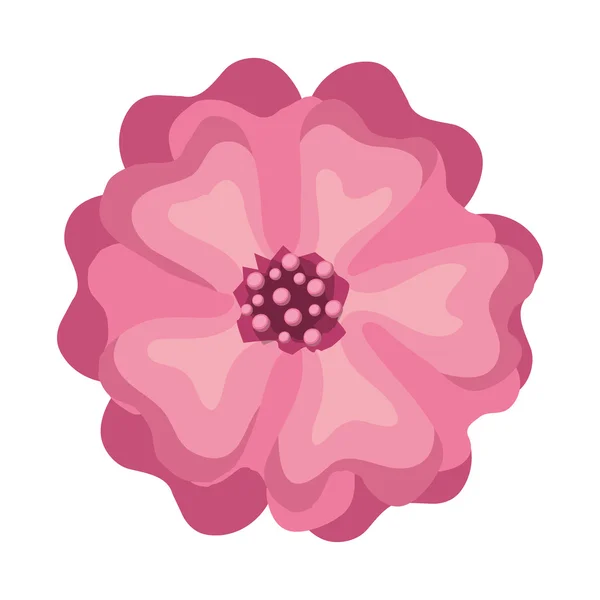 ピンクの美しい花 — ストックベクタ