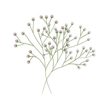 çizilen çiçek öğeleri