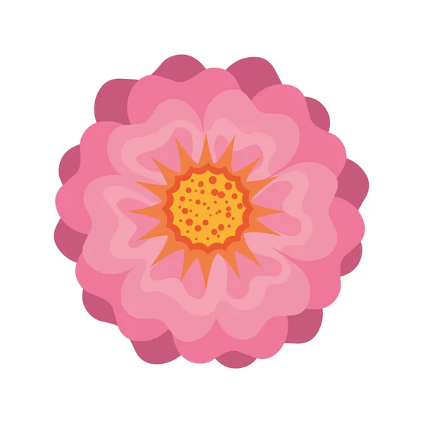美丽的粉红色的花 — 图库矢量图片