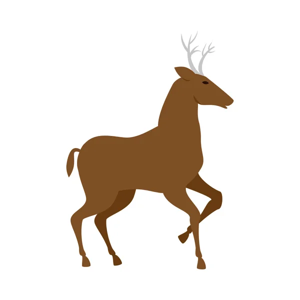 Kahverengi geyik hayvan — Stok Vektör