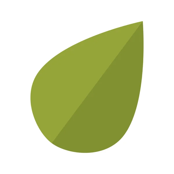Leaf växt naturliga blad — Stock vektor