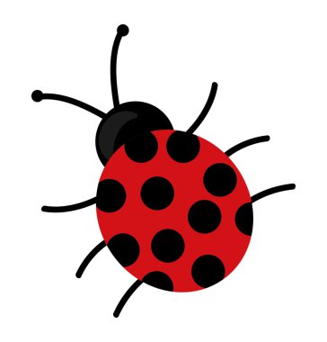 izole şirin güzel uğur böceği