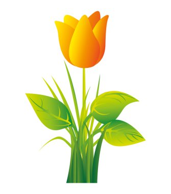 güzel çiçek Çizim izole