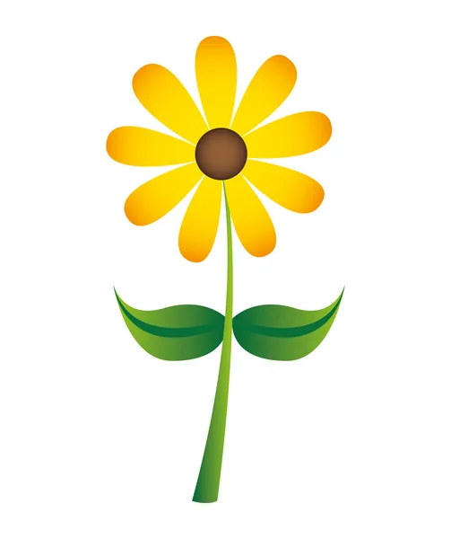 고립 된 아름 다운 꽃 그리기 — 스톡 벡터